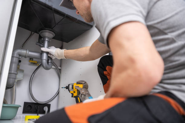 Best Residential Plumbing Services  in Angels, CA